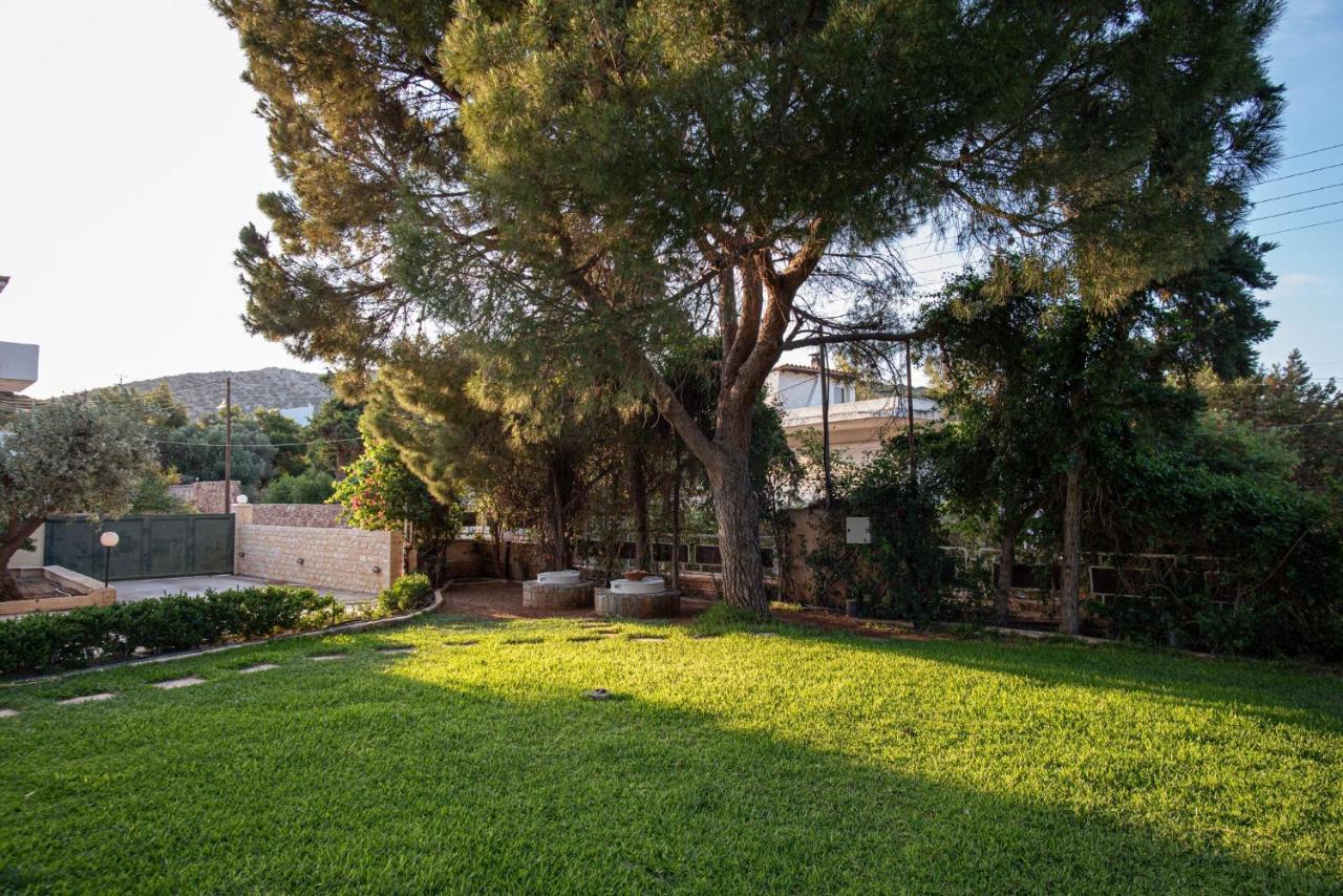 דירות סוניו Sounio Panoramic Loft מראה חיצוני תמונה